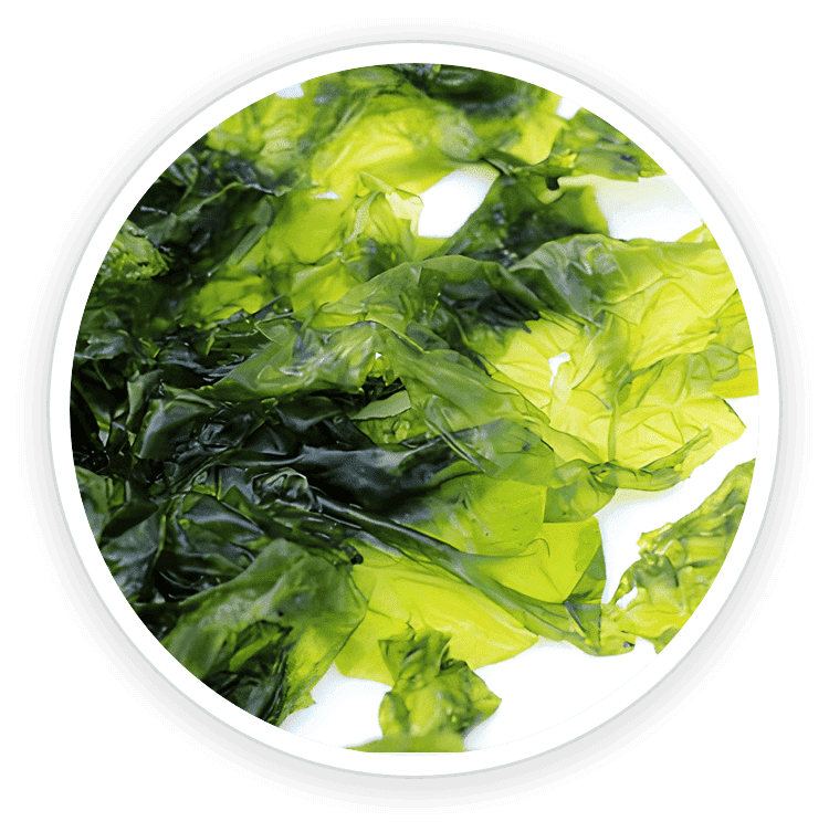 Nori Yaki Extract Powder